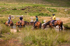 England-Dartmoor-The Dartmoor Explorer